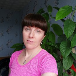 , 41, 