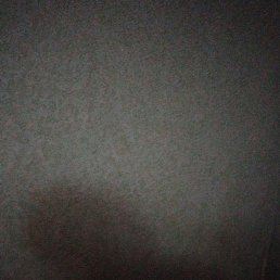 ���� ������, ������, 41 ��� - ��������� 7 ���� 2024