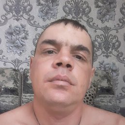 �������, �������, 33 ����