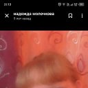 ���� �������, ����, 42 ���� - ��������� 10 ������ 2026 � ������ ���� ����������