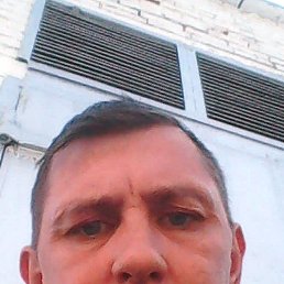 ���� ���������, ������, 49 ��� - ��������� 16 ����� 2026