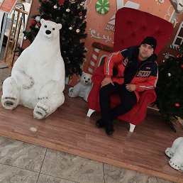 ���� ����, �����-���������, 43 ���� - ��������� 25 ������� 2024