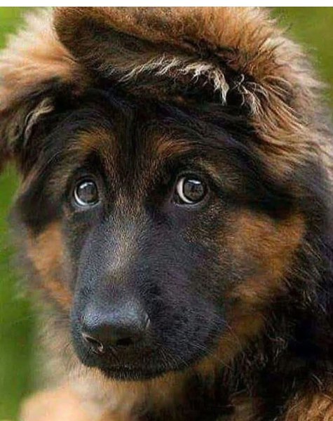    !   .  !   .  ,   ,     ...