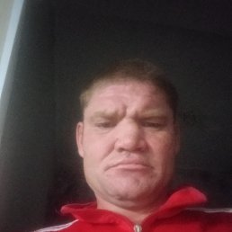 , 34, 