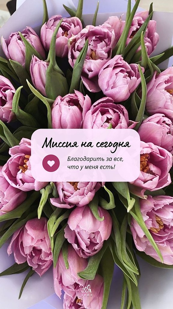 ������������� ���� - 18 ������� 2025 � 12:41