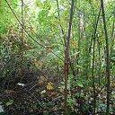 ���� �����, ��������, 22 ���� - ��������� 31 ����� 2025 � ������ ���� ����������