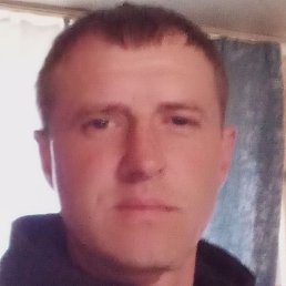 ������, ������, 37 ���