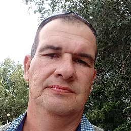 ������, ���������, 46 ���