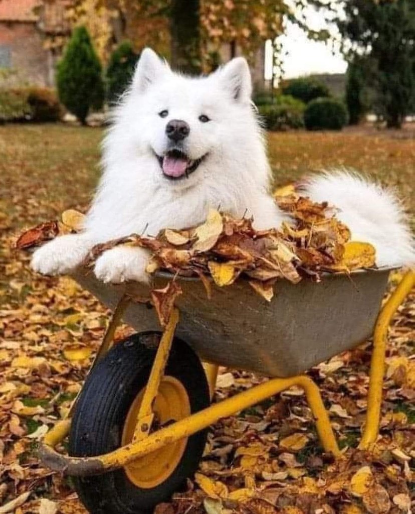     ,    .         , ...