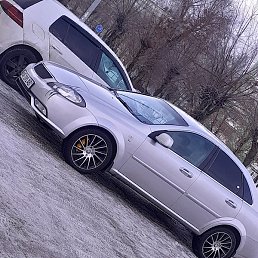 Ali, �����, 26 ���