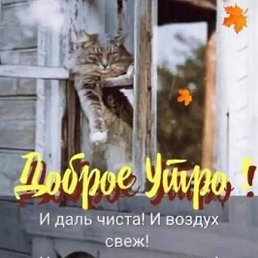 ����, ������, 59 ���