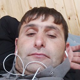 ����, ������, 41 ���