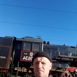 ����, 41 ���, ����