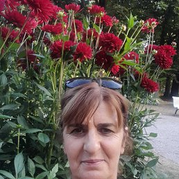 , 61, 