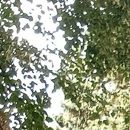 �����, ������, 49 ���