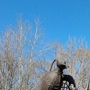 ������, 56 ���, ������