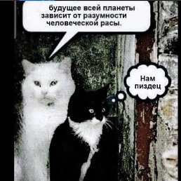 ���� ���, �������, 47 ��� - ��������� 5 �������� 2024