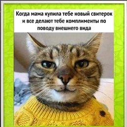���, ������, 22 ����