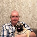 ���� �������, ��������, 71 ��� - ��������� 8 ������ 2026 � ������ ���� ����������