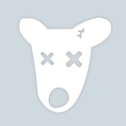 ���� ���������, ������ - ��������� 17 ������ 2025