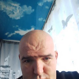 , 43, 