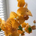 ���� ��������, �������, 44 ���� - ��������� 19 ������� 2025 � ������ ���� ������