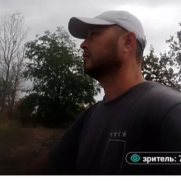 , 34, 