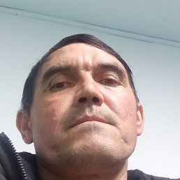 ������, ����, 42 ����