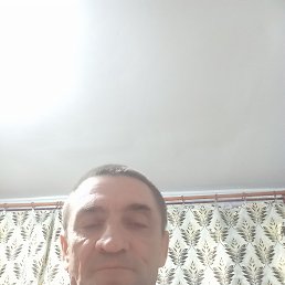 ����, 49 ���, ��������