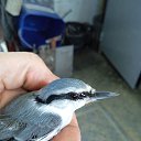 ���� ������, �����, 63 ���� - ��������� 6 ������� 2025 � ������ ���� ����������