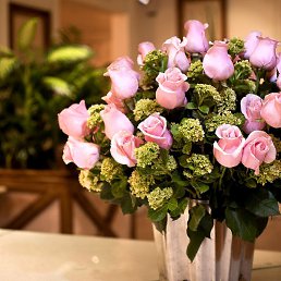 ��, �������, 36 ���