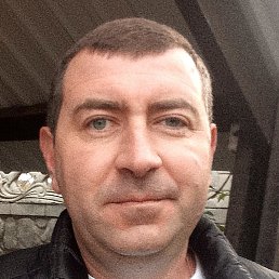 ������, ��������, 41 ���