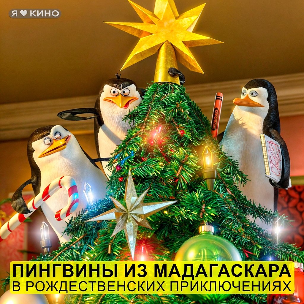      .  acaa  pecx ex (2005) ...