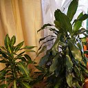 ���� Uegenia, ʸ���, 65 ��� - ��������� 22 �������� 2025 � ������ ���� ����������