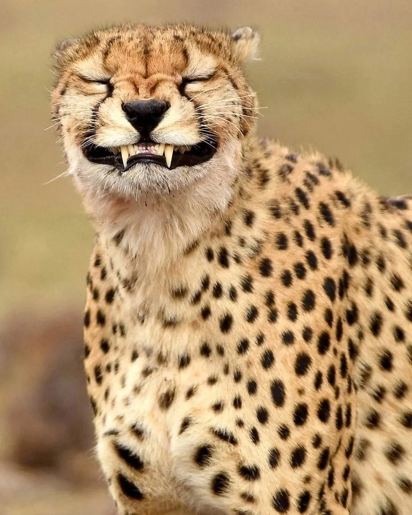 Мой случай - 3