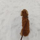 ���� ������, ������, 39 ��� - ��������� 5 ����� 2024 � ������ ���� ����������
