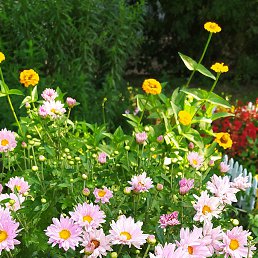 ���� ������, ������, 56 ��� - ��������� 30 ���� 2024