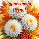 ���� Zv ����� ����� ���������!!! V, ����� - ��������� 4 �������� 2026 � ������ ������ ��������