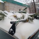 ���� ������, ������, 47 ��� - ��������� 1 ������� 2024 � ������ ���� ����������