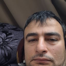 , 41, 