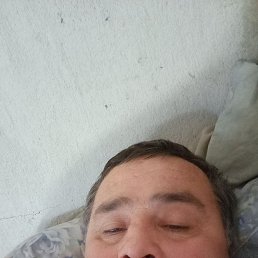 , 45 , 