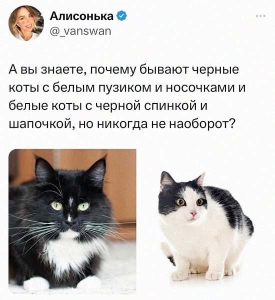 ���������, �� �� ����� �� ����. ��� ������ ������.