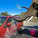 ���� ������, ��������� - ��������� 19 ���� 2024 � ������ ���� ����������