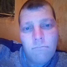 ������, ��������, 40 ���