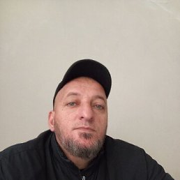 , 44, 