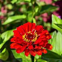 ���� �������, ������, 60 ��� - ��������� 7 �������� 2025 � ������ �������