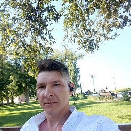 , 41, 