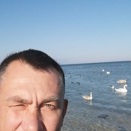 ���� ˸��, �����������, 47 ��� - ��������� 29 ������� 2025