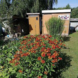 �����, ������, 45 ���