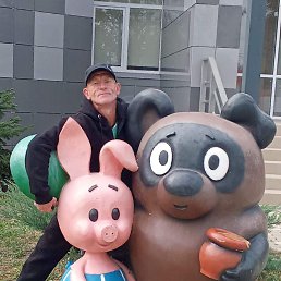 , 43, 